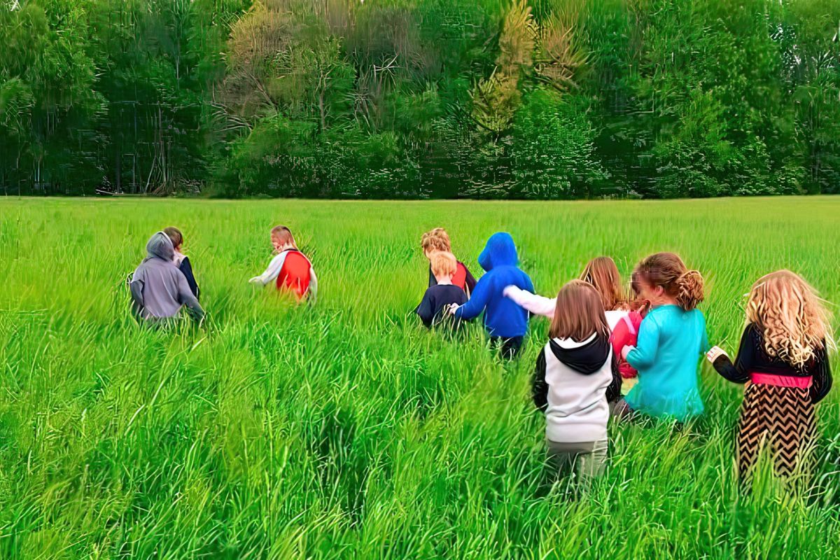 Daily Connections With Nature In The Great Outdoors